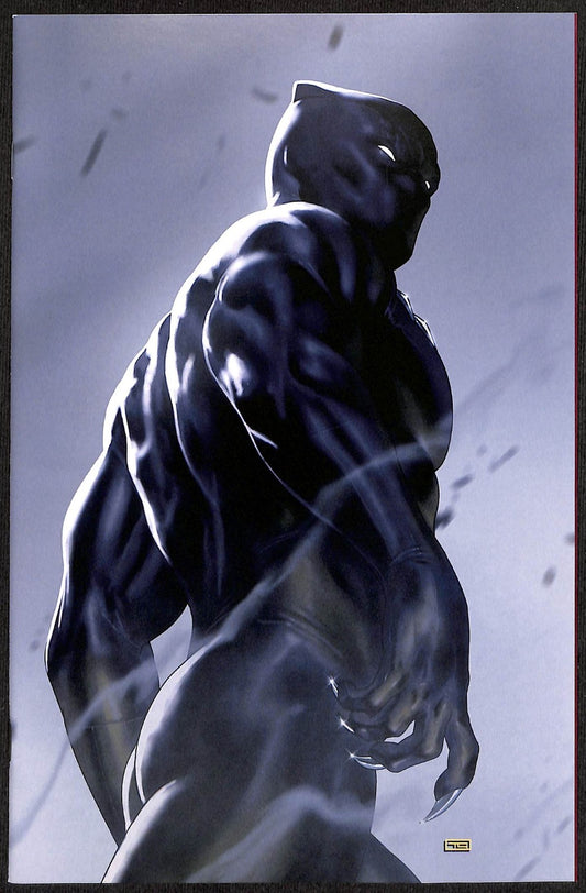 Marvel Knights The World to Come #2 Taurin Clarke 1:100 Virgin Variant0