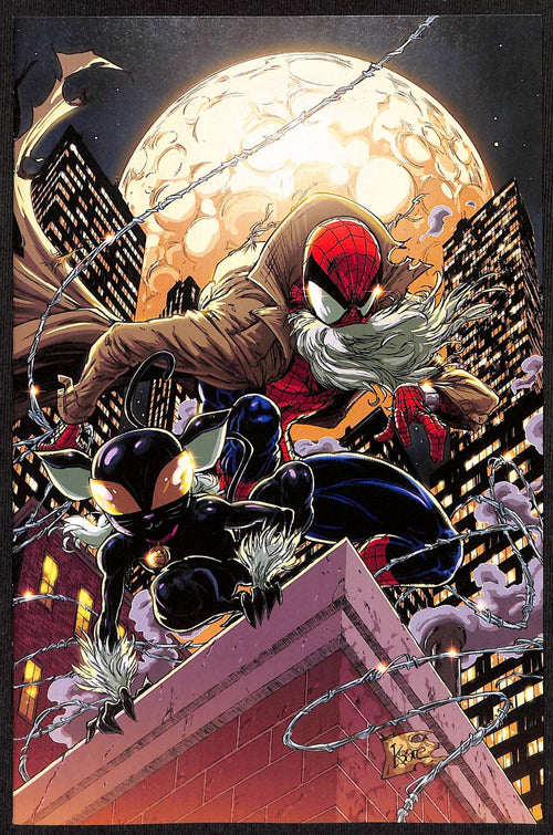 Spider-Man Reign 2 #2 Kaare Andrews 1:50 Virgin Variant0