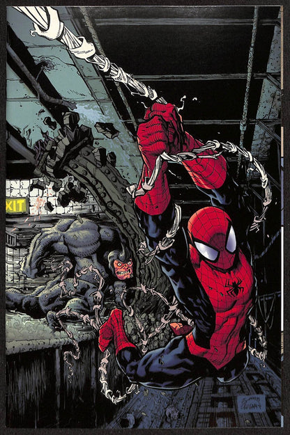 Amazing Spider-Man #1 (Vol 8) 2nd Print Ryan Stegman 1:25 Variant0